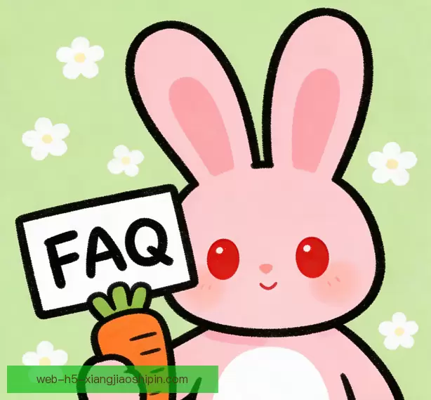 常见问题